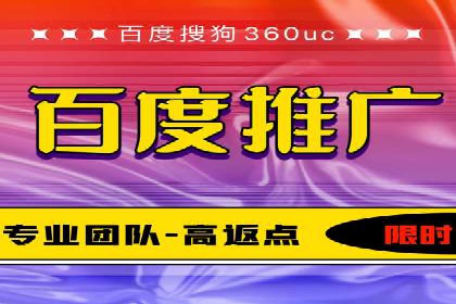 竞价排名与自然排名的对比案例
